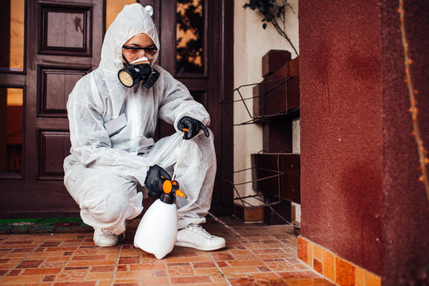 Reliable Cockroach Control contractor in Abernathy, TX by Nex Pest Control